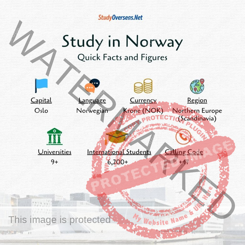 Why study in Norway for international students | Which are the best universities to study in Norway for international students | Do universities in Norway teach using the English language | How to apply for a Norway student visa | Can international students work in Norway